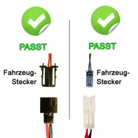 LED Kennzeichenbeleuchtung für Skoda Rapid +...