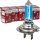10 x LIMA H7 Xenon Look 24V LKW 70W Halogen Lampe SUPER WEISS Werkstatt Angebot