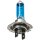 10 x LIMA H7 Xenon Look 24V LKW 70W Halogen Lampe SUPER WEISS Werkstatt Angebot